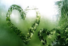 天涯论坛关闭，你做好准备了吗？